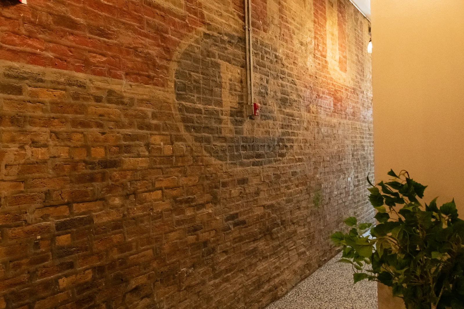 The Vault — Wicker Park, Chicago